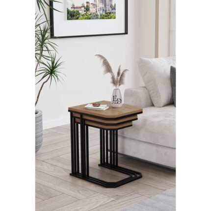 ED Efelez Design Lyon 3'lü C Zigon Sehpa Siyah Metal - Atlantik Çam Tabla - Görsel 3